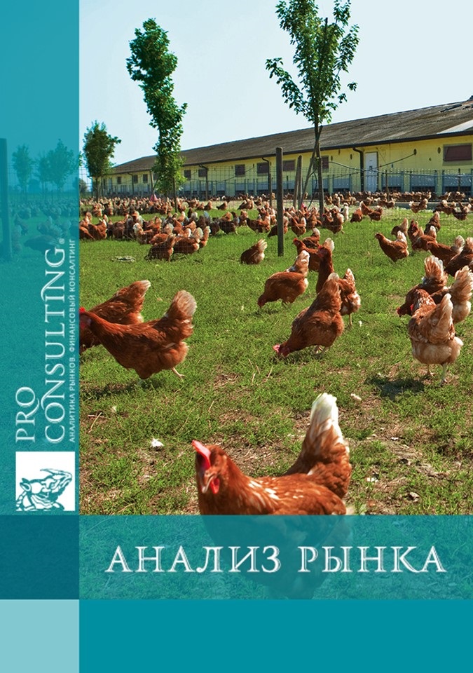 Аналіз ринку птахівництва в Україні. 2023 рік